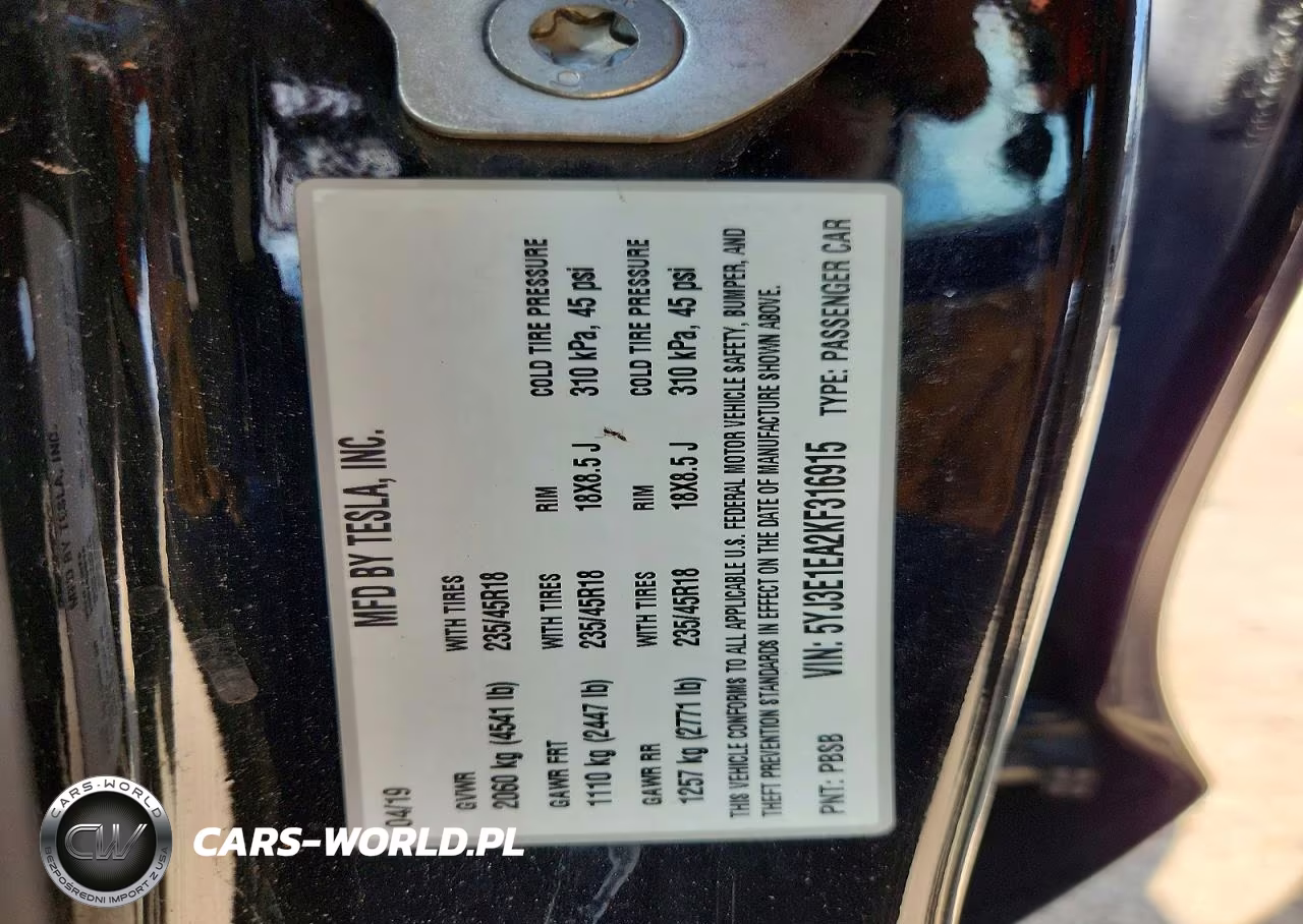 2019 Tesla Model 3 VIN:5YJ3E1EA2KF316915 - 12