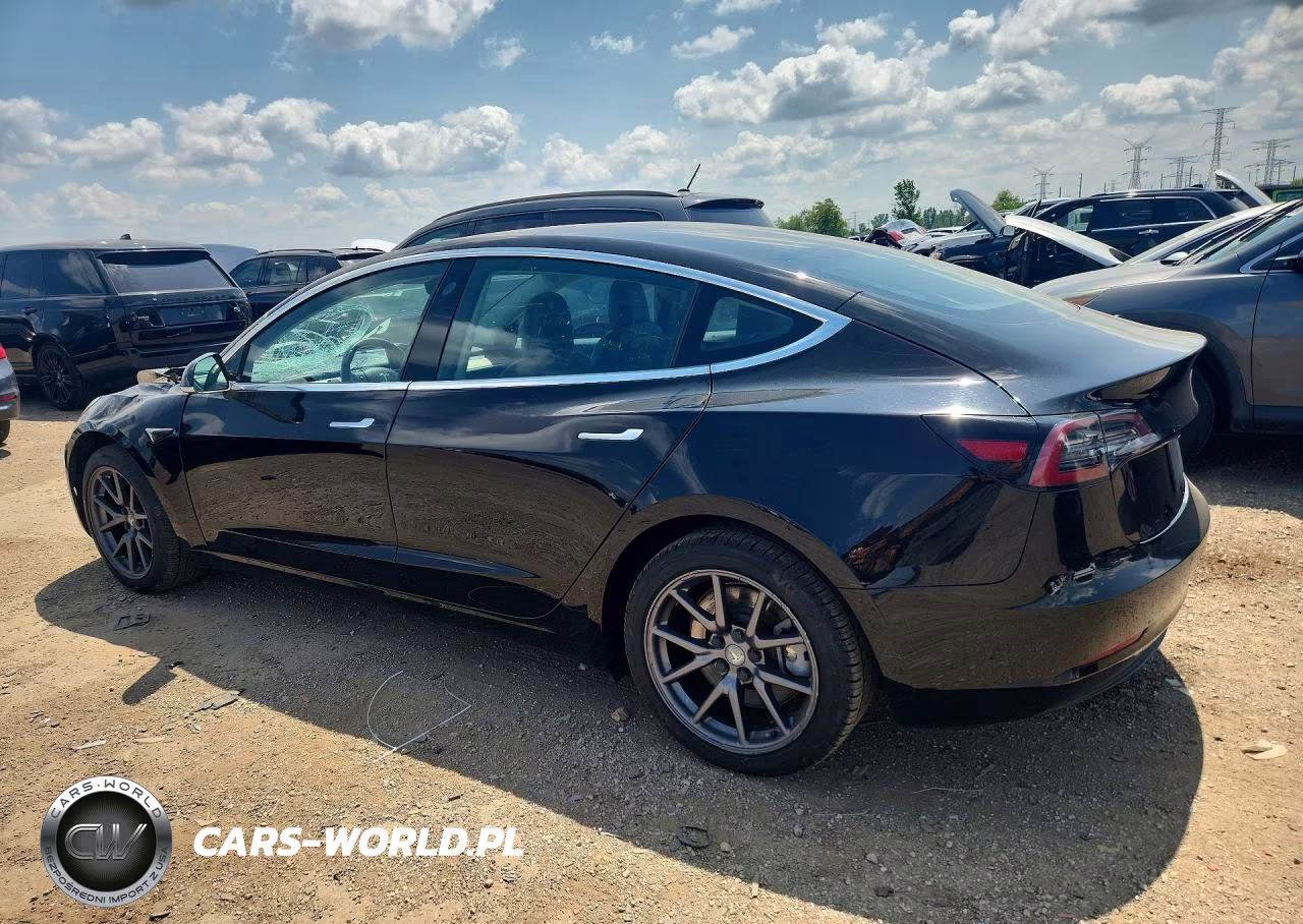 2019 Tesla Model 3 VIN:5YJ3E1EA2KF316915 - 2