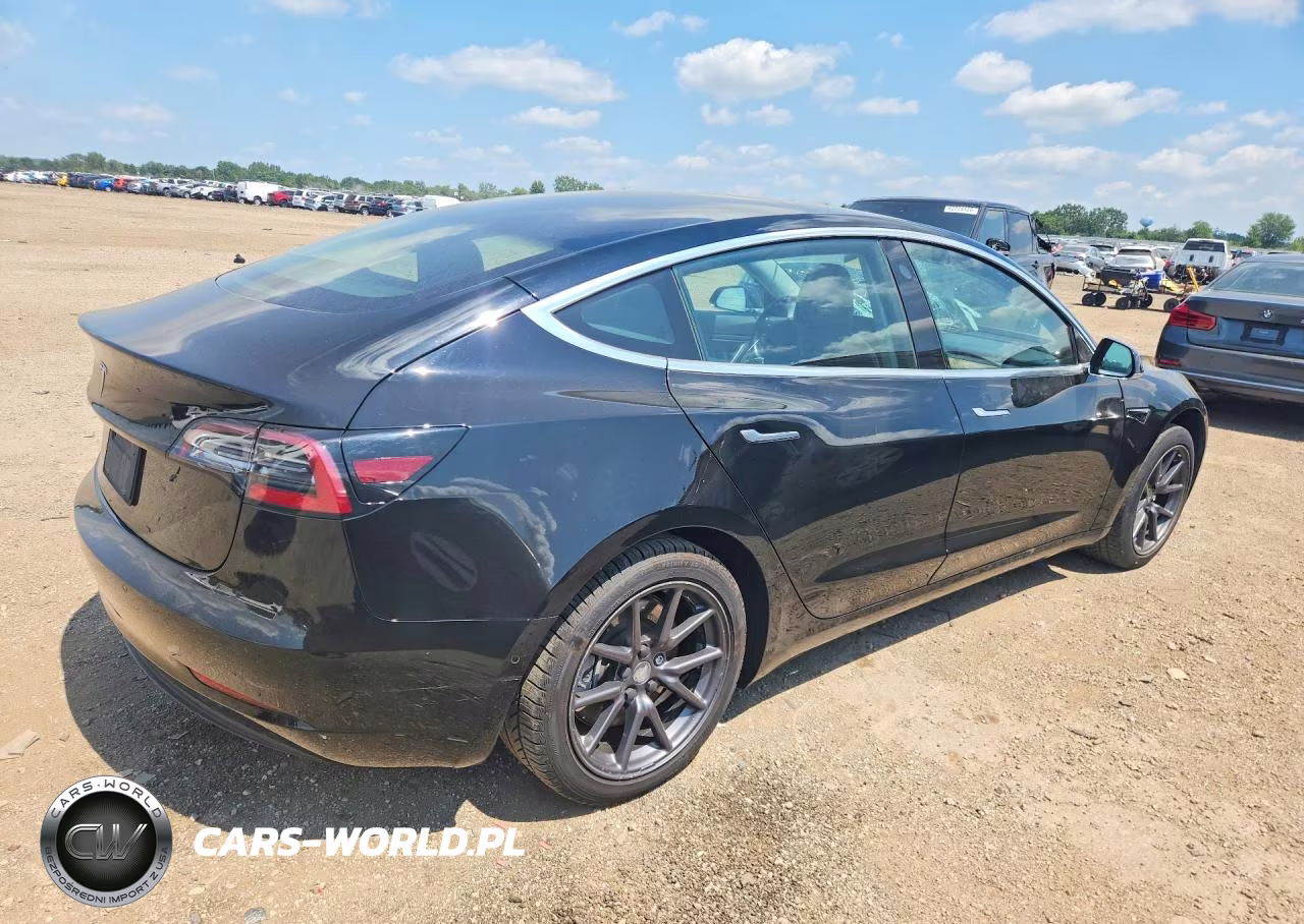2019 Tesla Model 3 VIN:5YJ3E1EA2KF316915 - 3