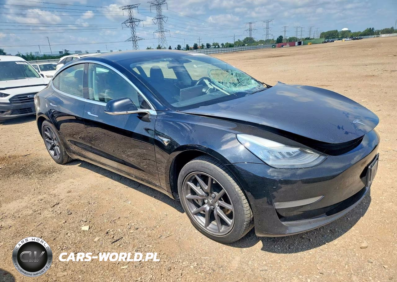 2019 Tesla Model 3 VIN:5YJ3E1EA2KF316915 - 4