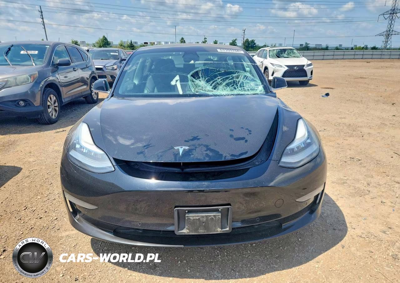 2019 Tesla Model 3 VIN:5YJ3E1EA2KF316915 - 5