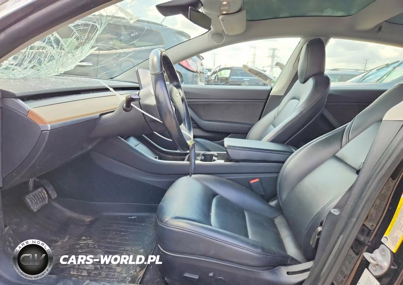 2019 Tesla Model 3 VIN:5YJ3E1EA2KF316915 - 7