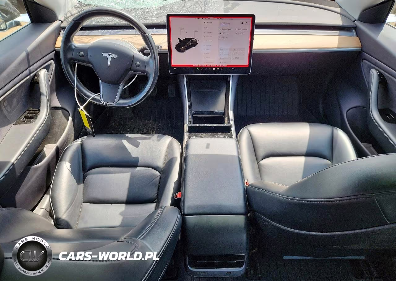 2019 Tesla Model 3 VIN:5YJ3E1EA2KF316915 - 8