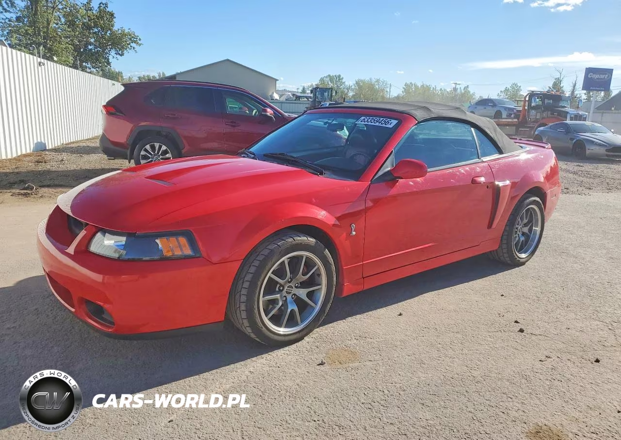 2003 Ford Mustang Cobra Svt VIN:1FAFP49YX3F447769 - 1
