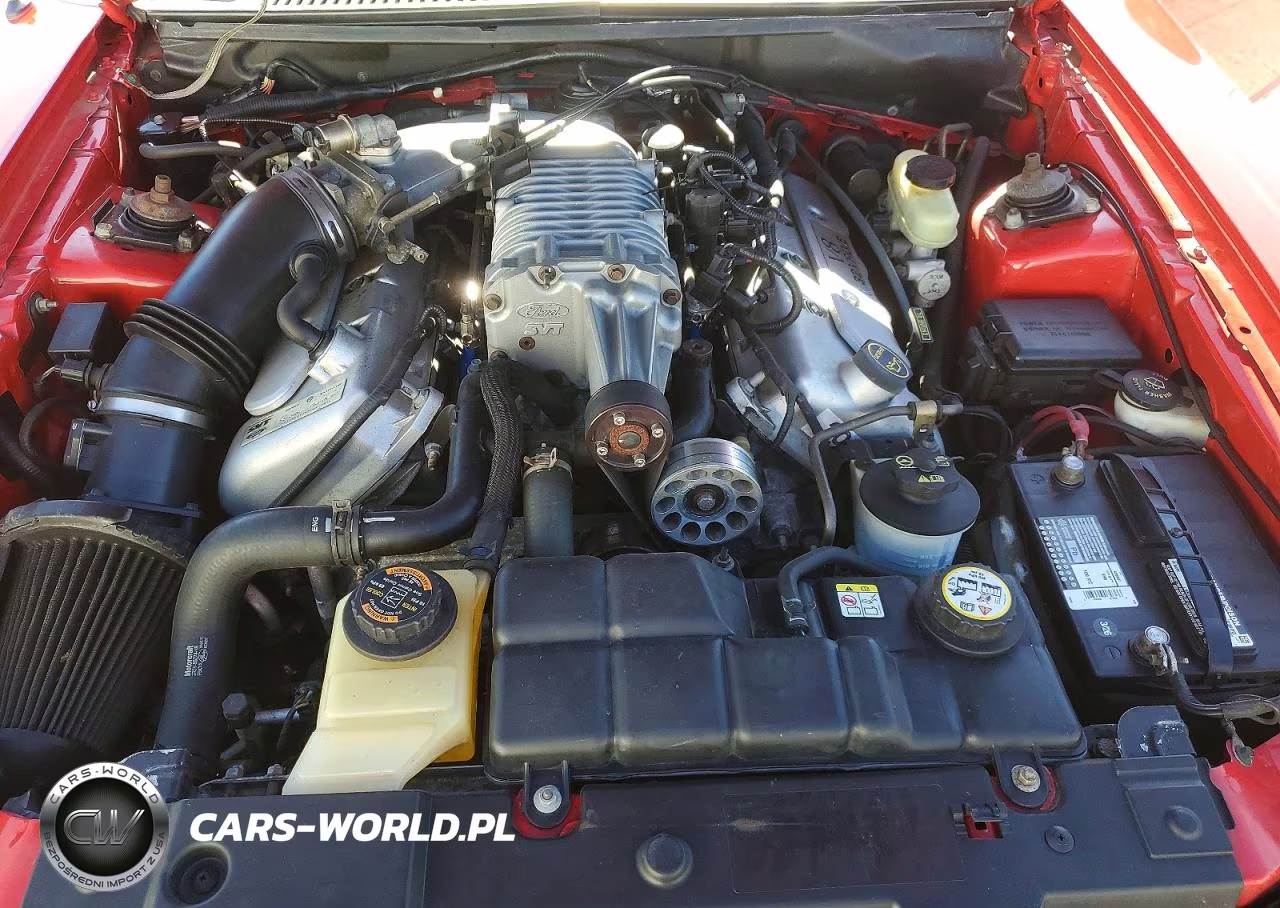 2003 Ford Mustang Cobra Svt VIN:1FAFP49YX3F447769 - 11
