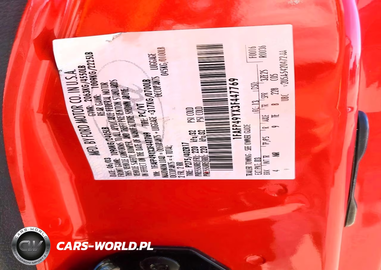 2003 Ford Mustang Cobra Svt VIN:1FAFP49YX3F447769 - 12