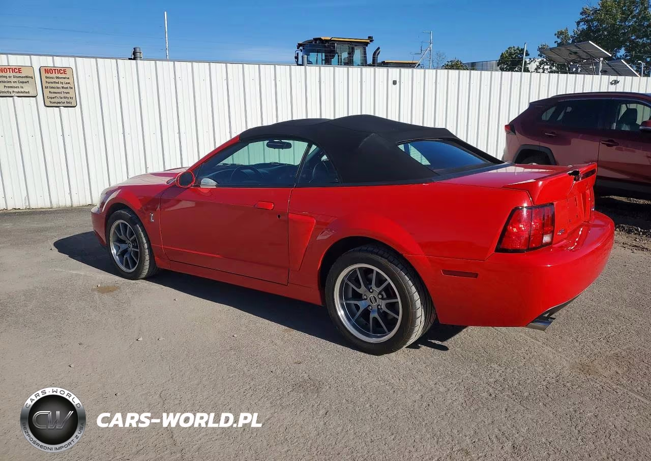2003 Ford Mustang Cobra Svt VIN:1FAFP49YX3F447769 - 2