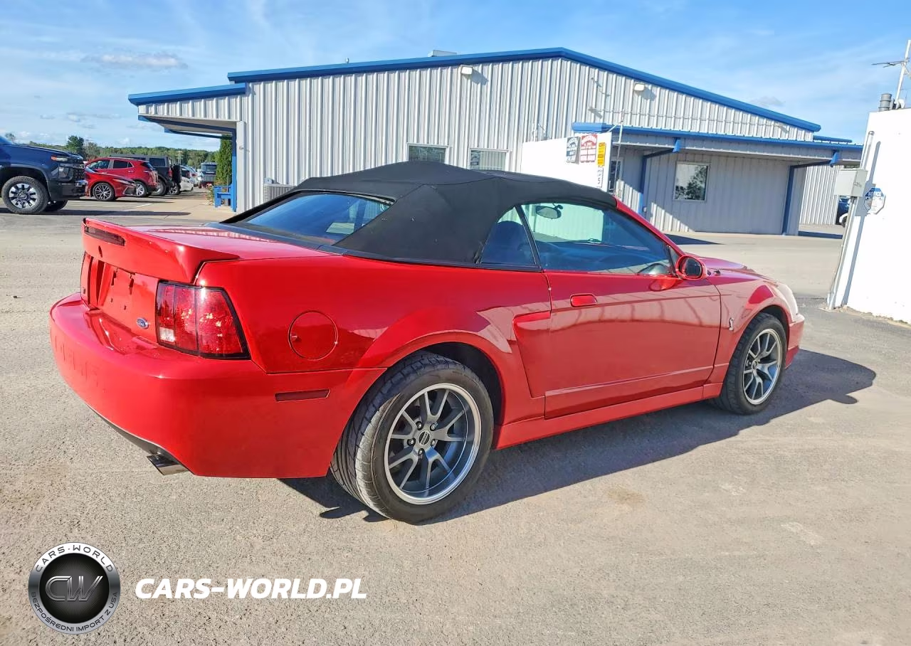 2003 Ford Mustang Cobra Svt VIN:1FAFP49YX3F447769 - 3