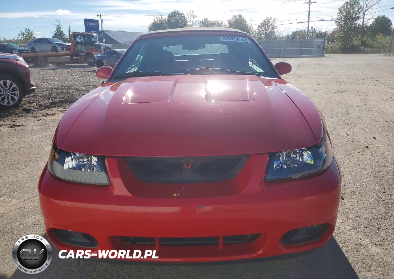 2003 Ford Mustang Cobra Svt VIN:1FAFP49YX3F447769 - 5