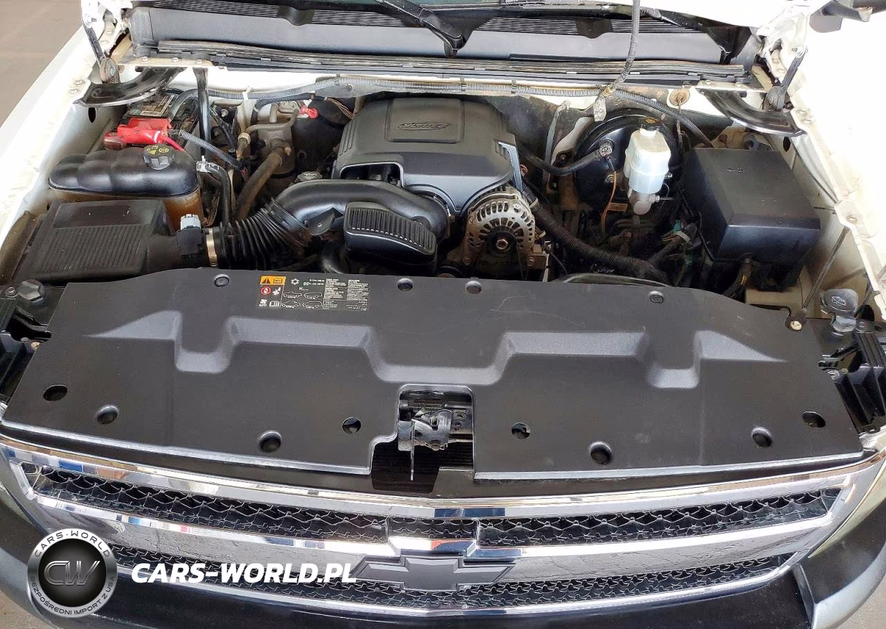 2011 Chevrolet Silverado C1500 VIN:1GCNCPEA6BZ322972 - 11