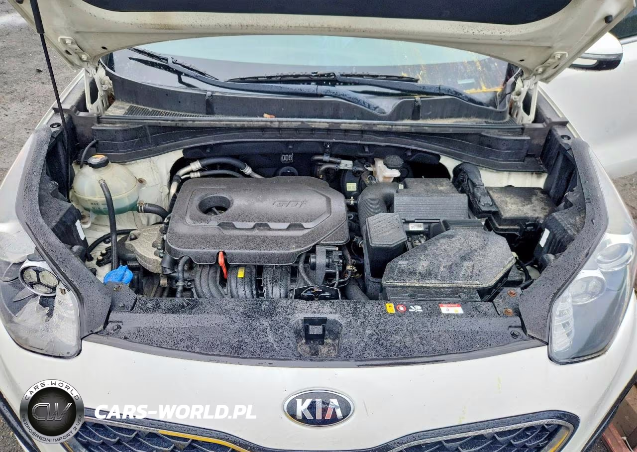 2020 Kia Sportage Lx VIN:KNDPMCAC3L7704010 - 12