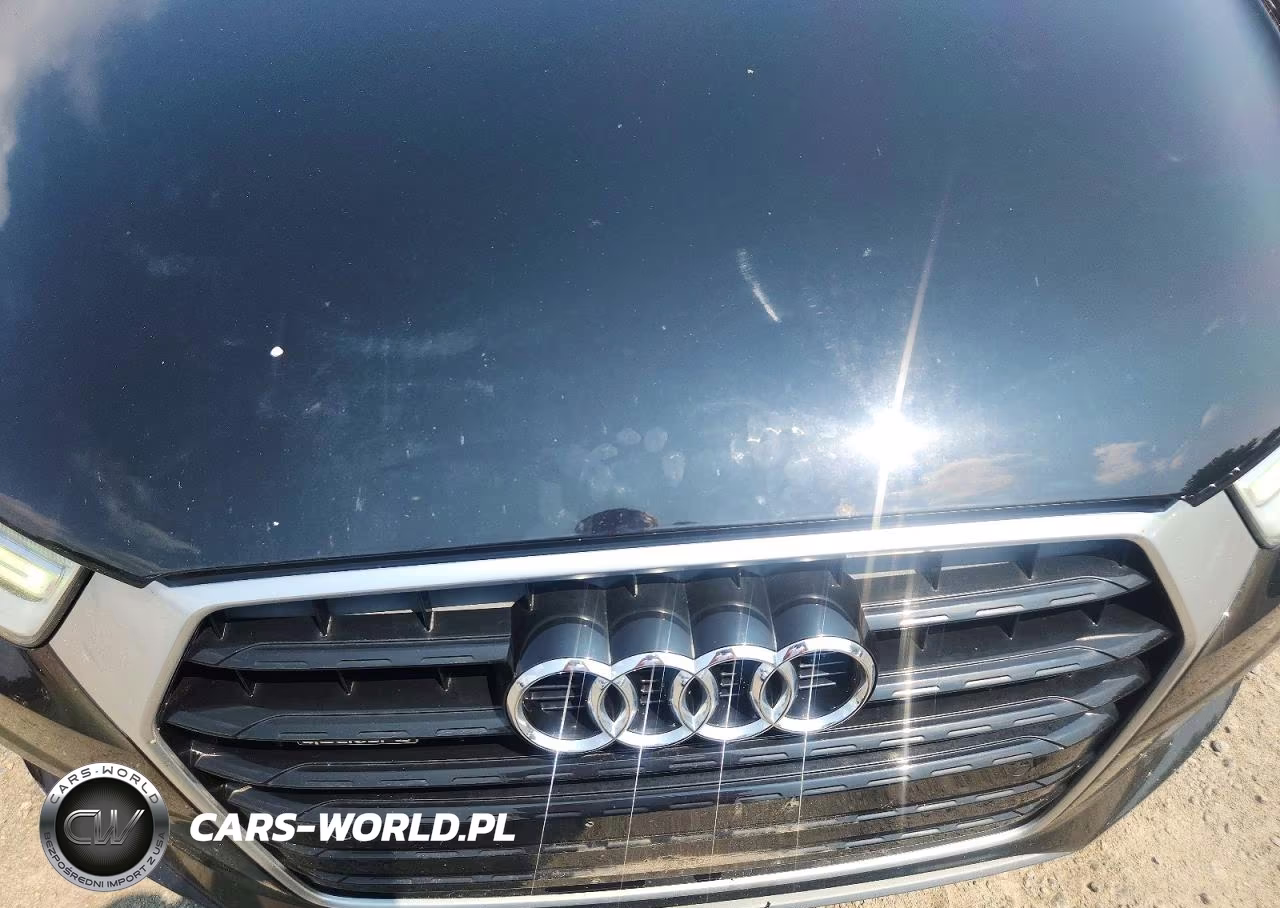 2016 Audi Q3 Premium Plus VIN:WA1EFCFS5GR014068 - 12