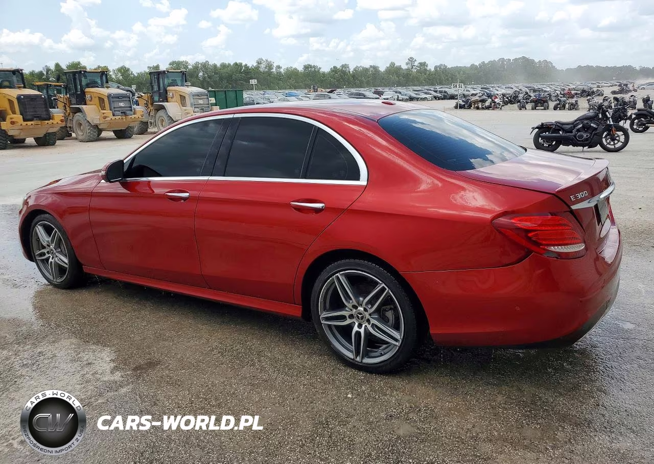 2019 Mercedes-Benz E 300 VIN:WDDZF4JB4KA520055 - 2