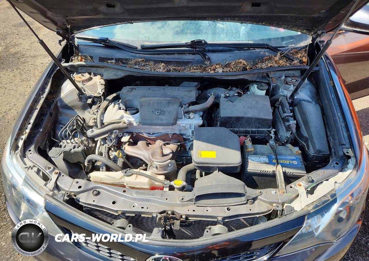 2014 Toyota Camry Le VIN:4T4BF1FK4ER338279 - 11