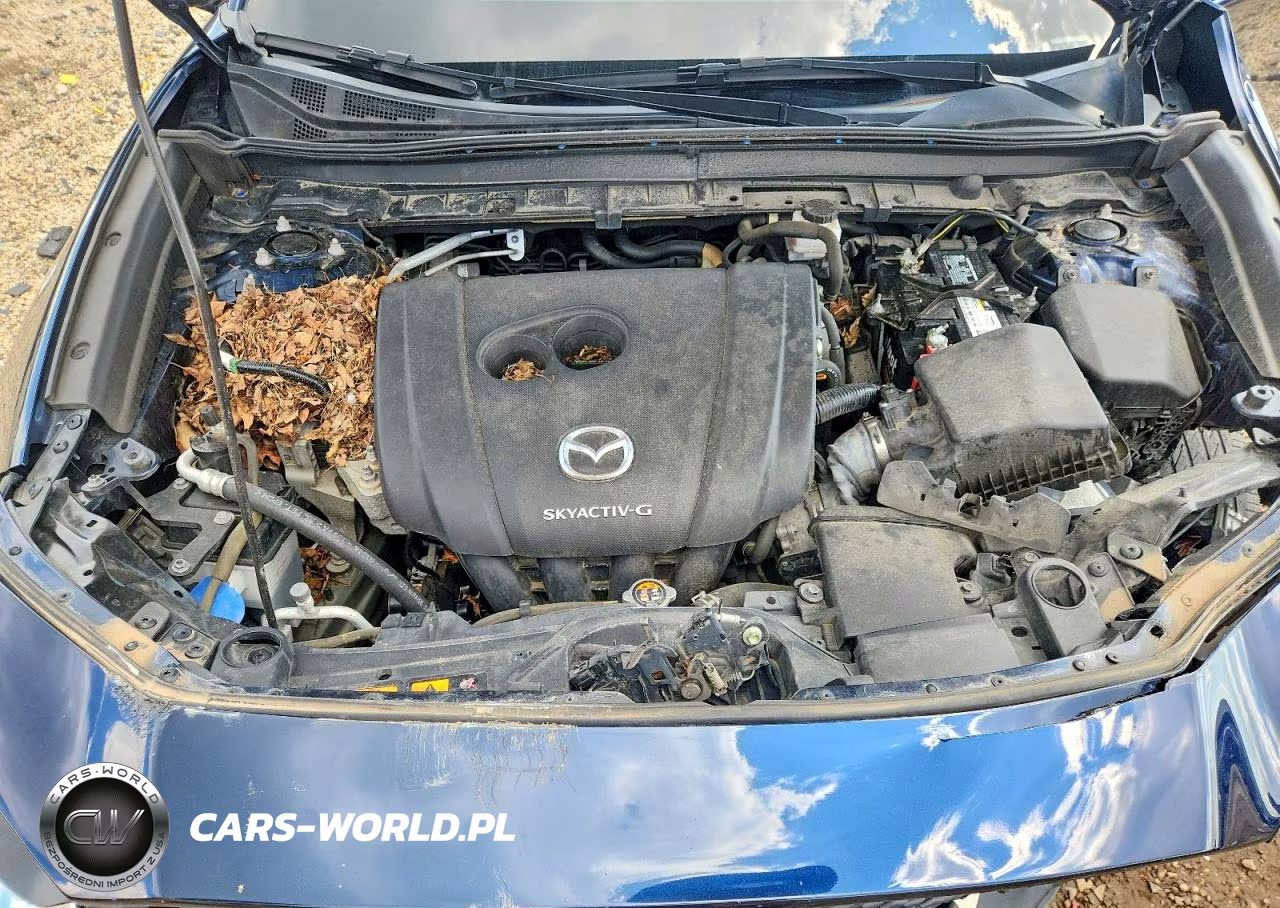 2020 Mazda Cx-30 VIN:3MVDMBBL0LM128070 - 12