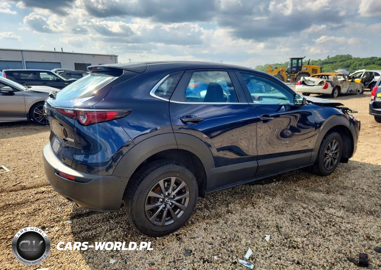 2020 Mazda Cx-30 VIN:3MVDMBBL0LM128070 - 3