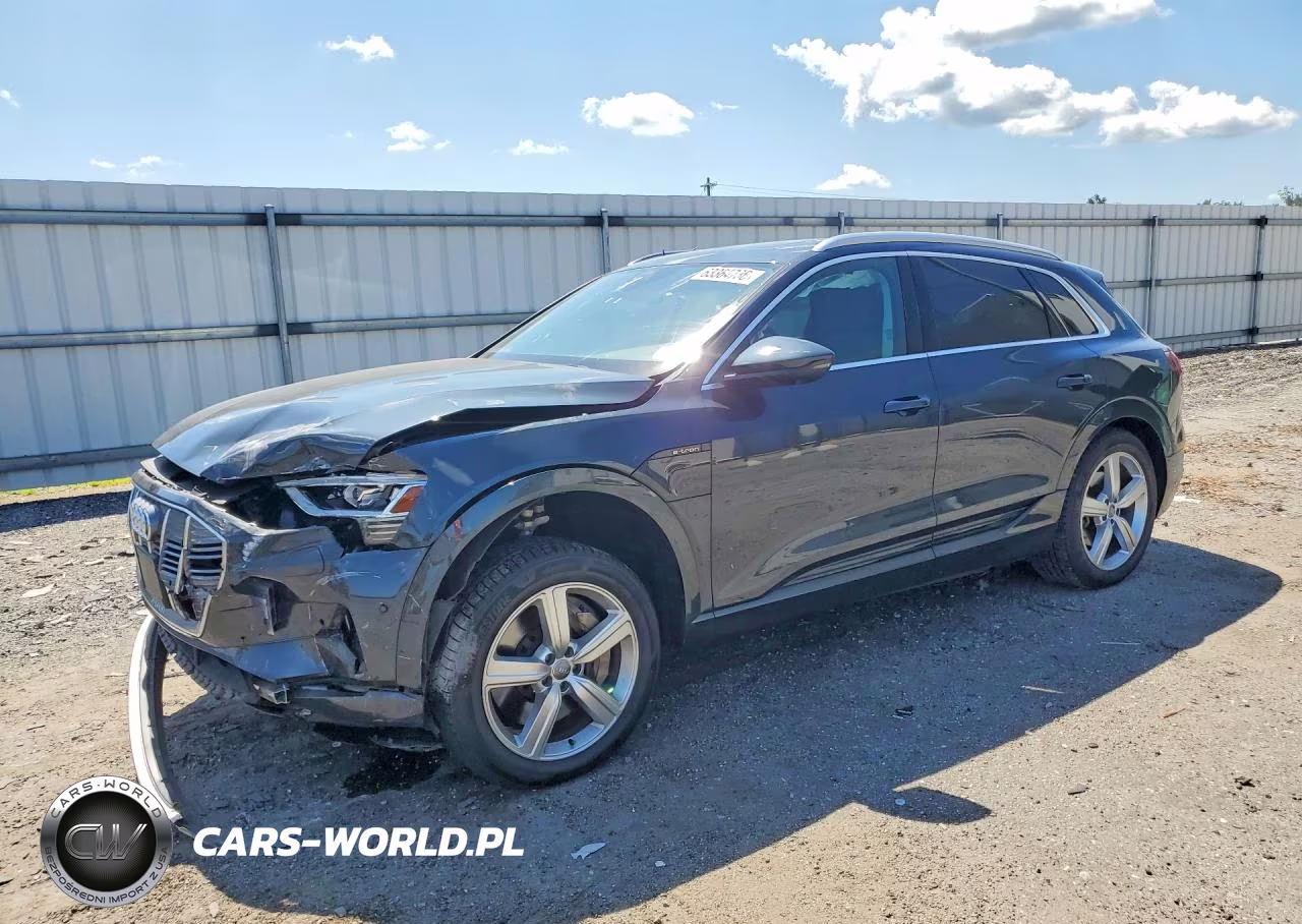 2019 Audi E-Tron Premium Plus – zdjęcie 1 z 13