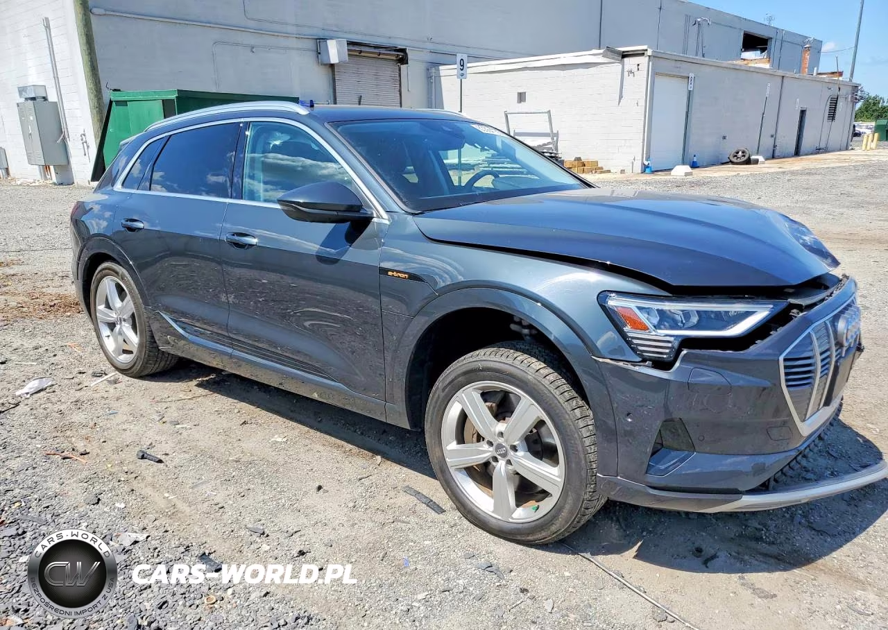 2019 Audi E-Tron Premium Plus VIN:WA1LABGE2KB021909 - 4