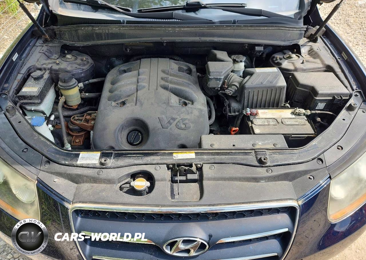 2009 Hyundai Santa Fe Limited VIN:5NMSH13E99H243642 - 12