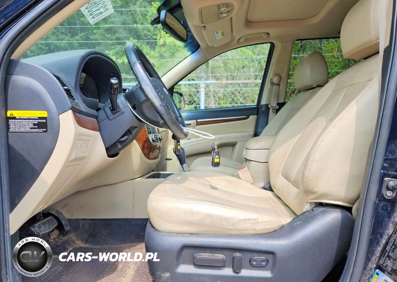 2009 Hyundai Santa Fe Limited VIN:5NMSH13E99H243642 - 7