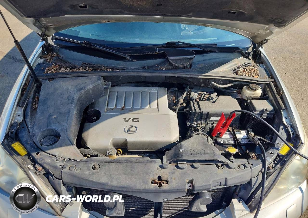 2007 Lexus Rx 350 VIN:2T2HK31U67C020653 - 12
