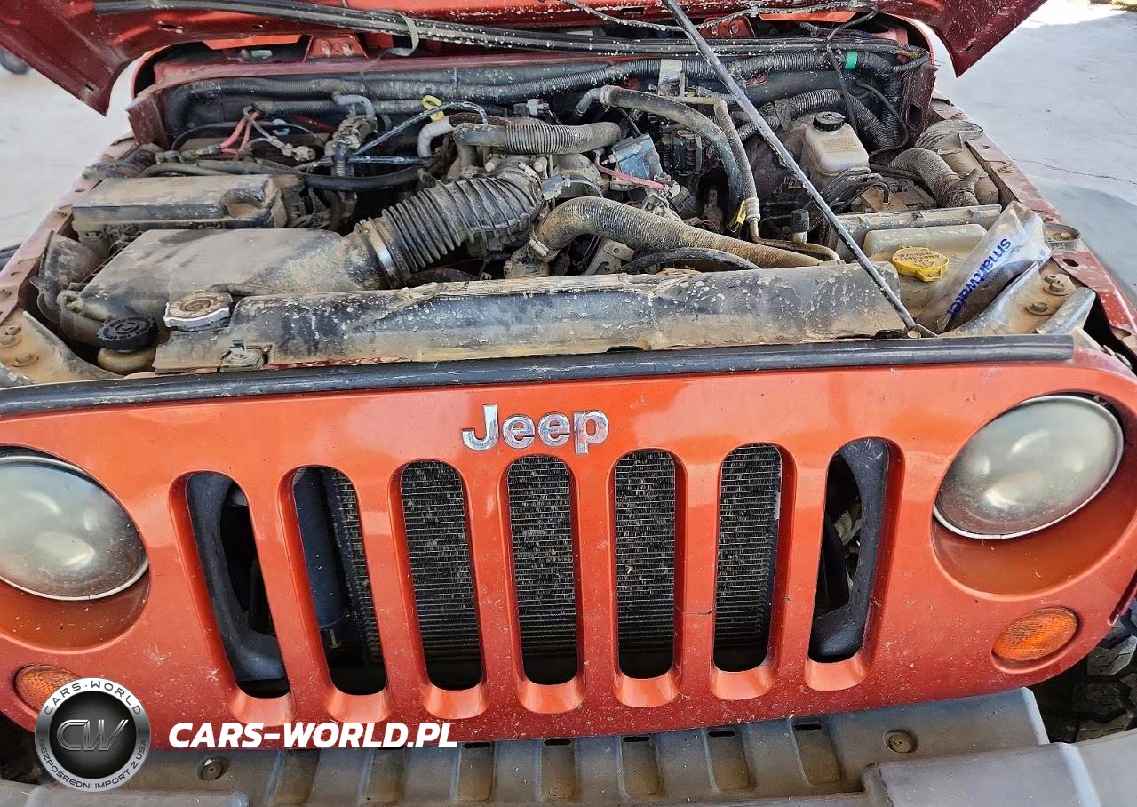 2009 Jeep Wrangler Unlimited X VIN:1J4GA39129L770876 - 11