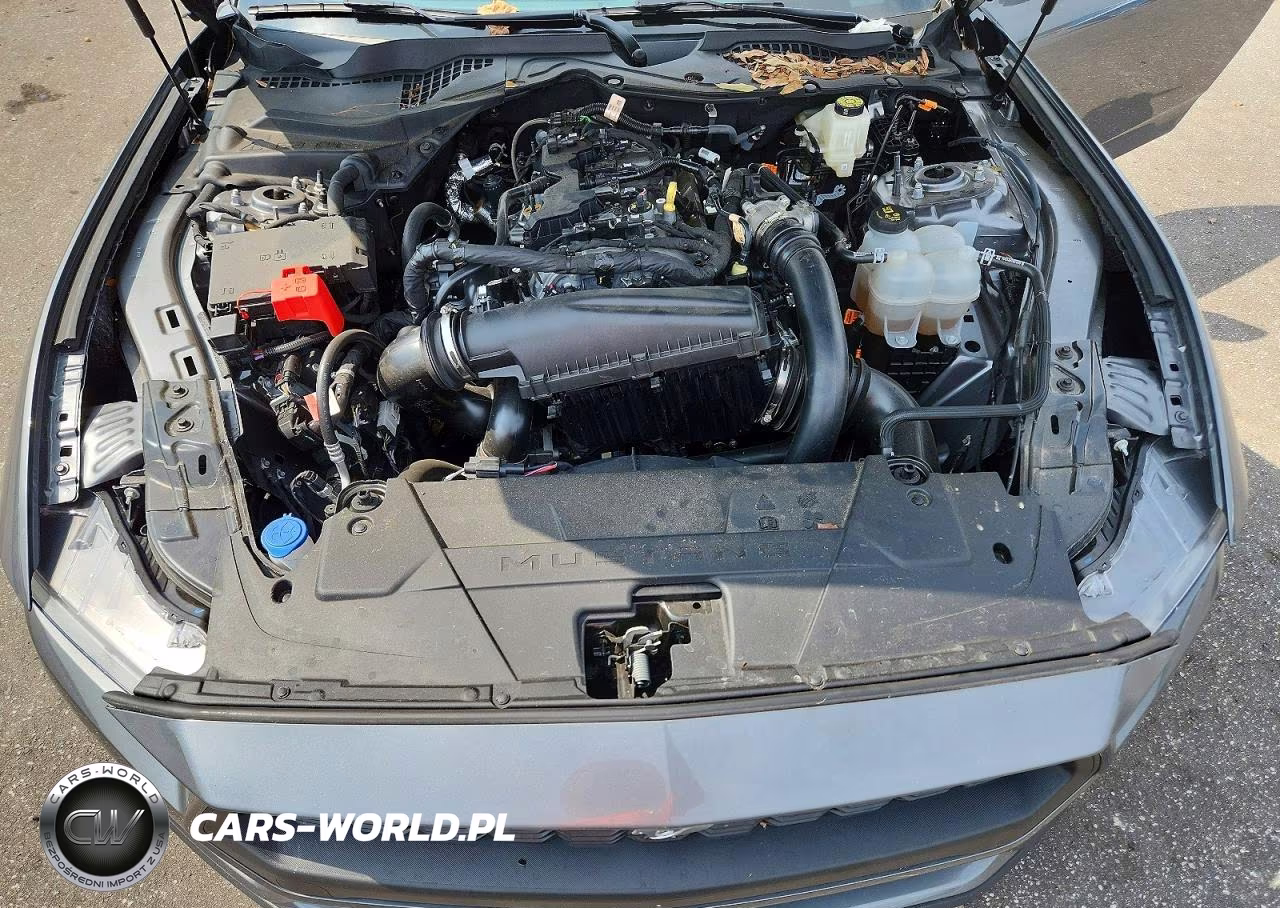 2025 Ford Mustang VIN:1FA6P8TH3S5125883 - 11