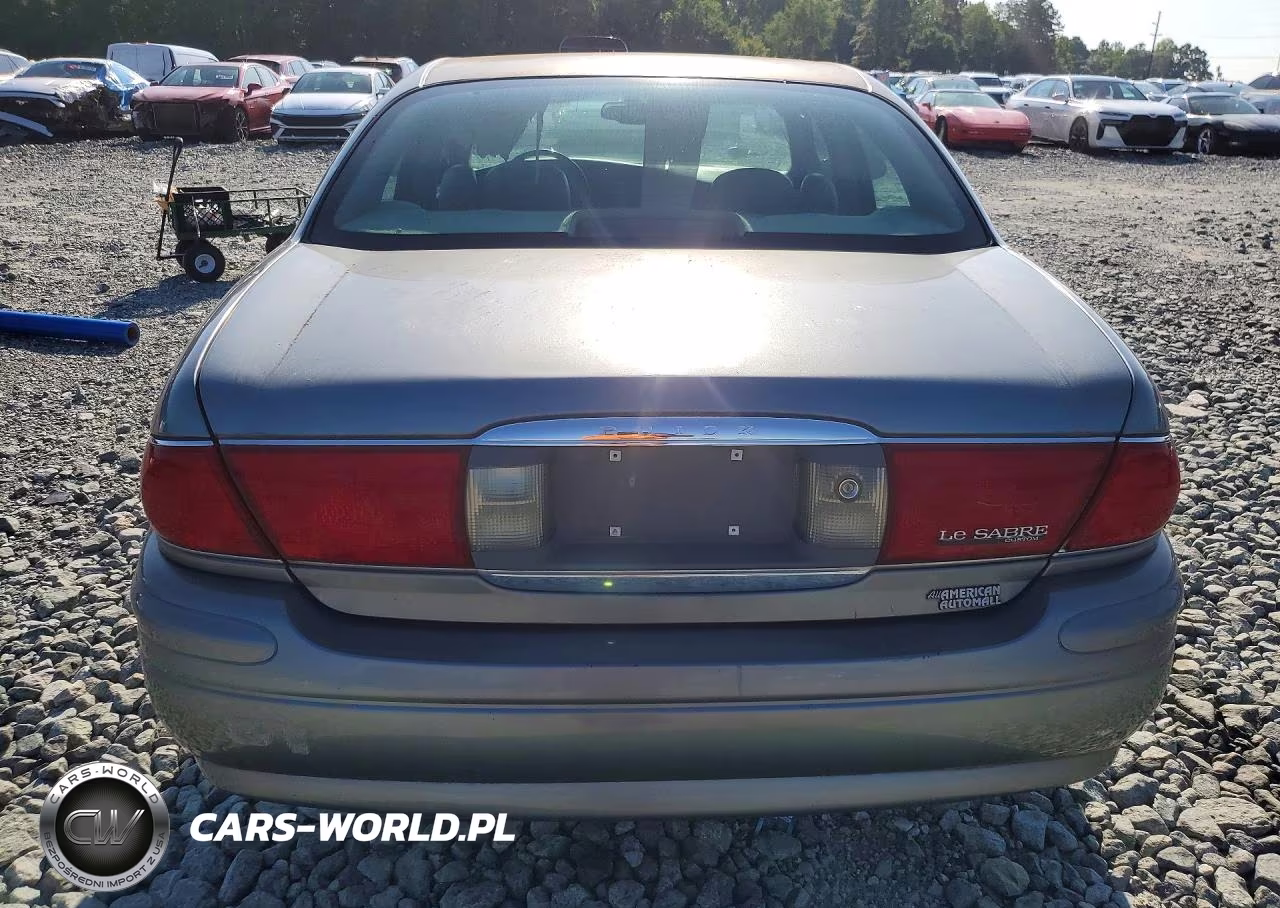2004 Buick Lesabre Custom VIN:1G4HP52K64U167693 - 6