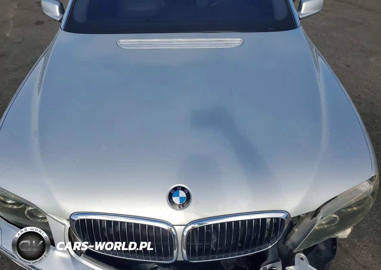 2006 BMW 750 Li VIN:WBAHN83506DT59566 - 11