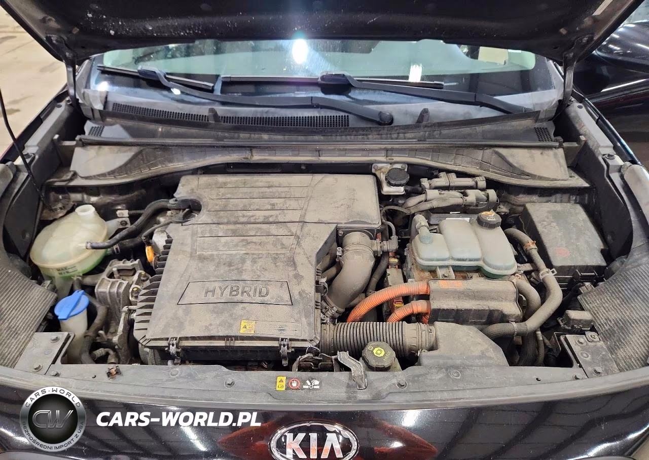 2017 Kia Niro Fe VIN:KNDCB3LC1H5081359 - 12