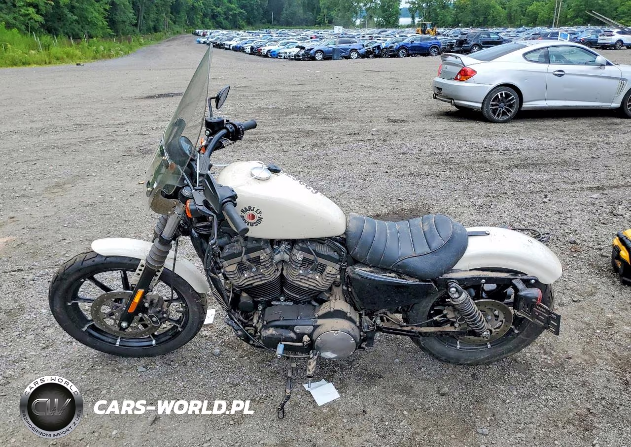 2022 Harley-Davidson Xl883 N VIN:1HD4LE212NB406643 - 3
