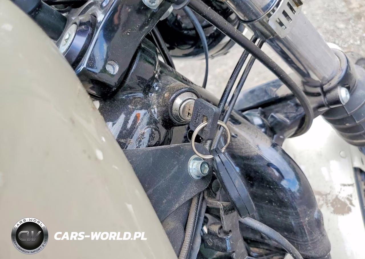 2022 Harley-Davidson Xl883 N VIN:1HD4LE212NB406643 - 8