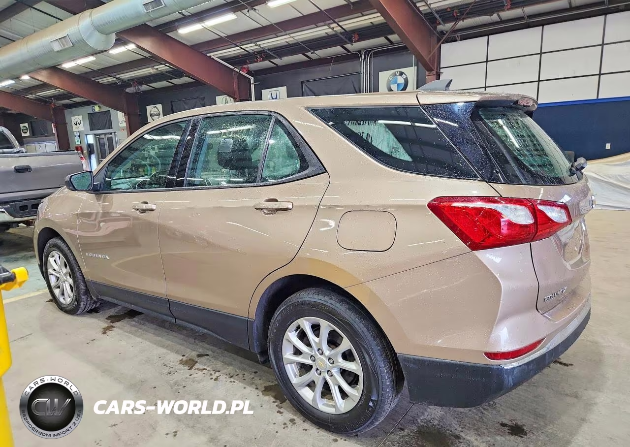 2018 Chevrolet Equinox Ls VIN:2GNAXREVXJ6176238 - 2