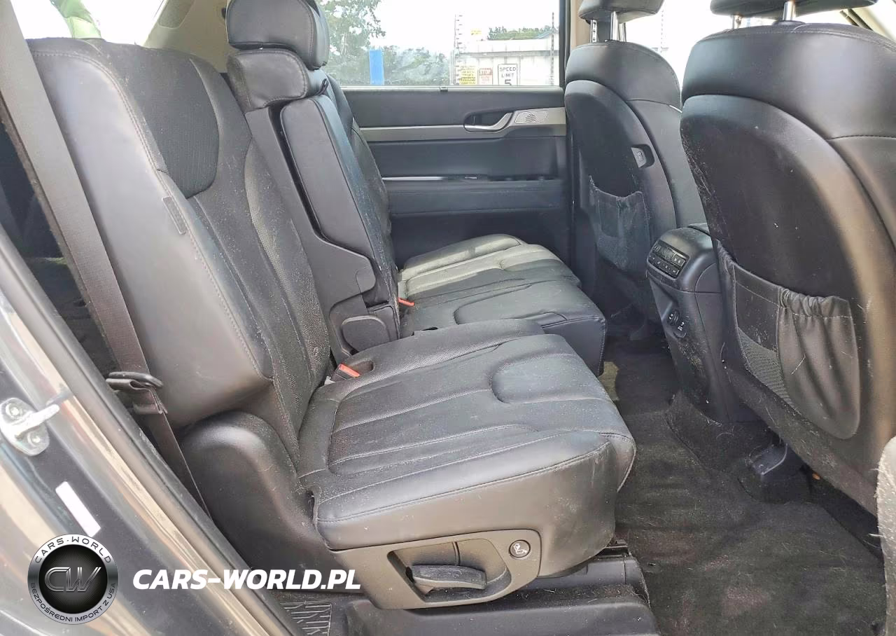 2023 Hyundai Palisade Sel Premium VIN:KM8R4DGEXPU579338 - 10
