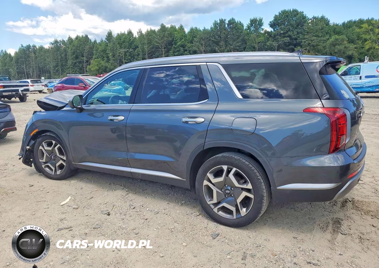 2023 Hyundai Palisade Sel Premium VIN:KM8R4DGEXPU579338 - 2