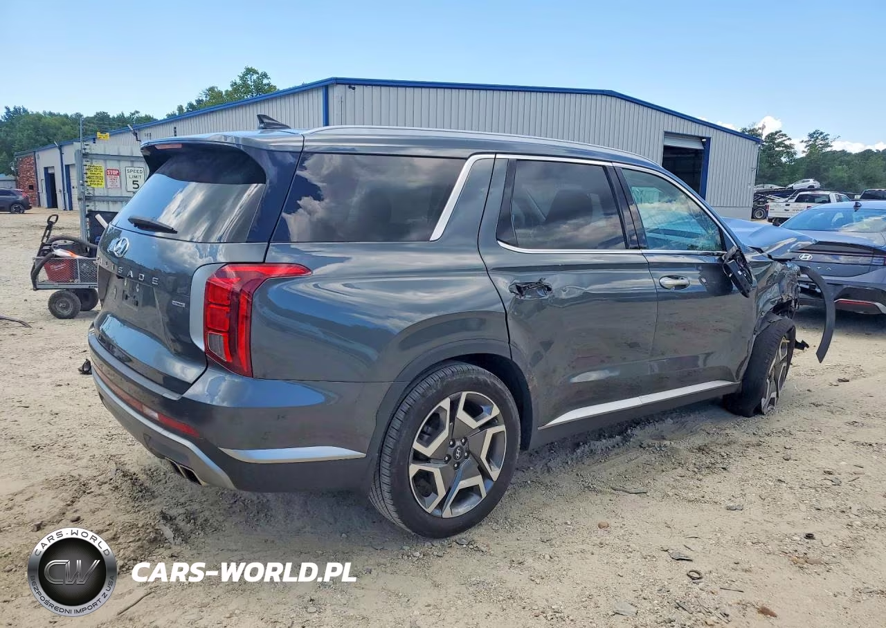 2023 Hyundai Palisade Sel Premium VIN:KM8R4DGEXPU579338 - 3