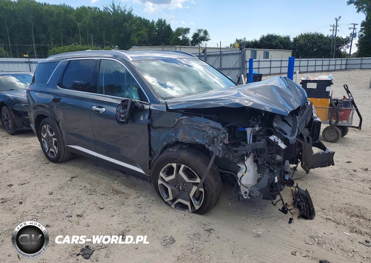2023 Hyundai Palisade Sel Premium VIN:KM8R4DGEXPU579338 - 4