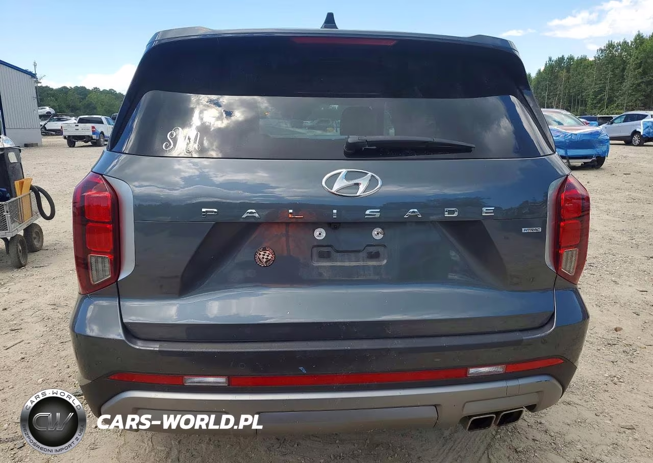 2023 Hyundai Palisade Sel Premium VIN:KM8R4DGEXPU579338 - 6