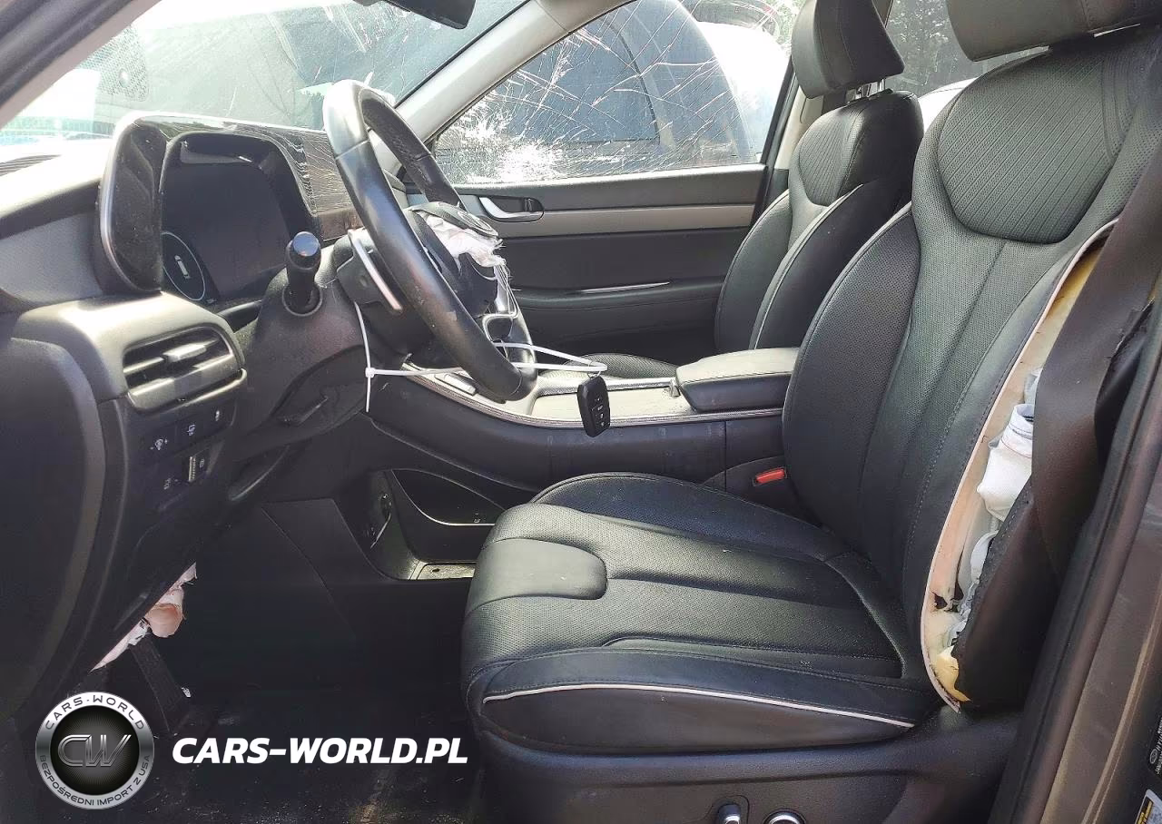 2023 Hyundai Palisade Sel Premium VIN:KM8R4DGEXPU579338 - 7