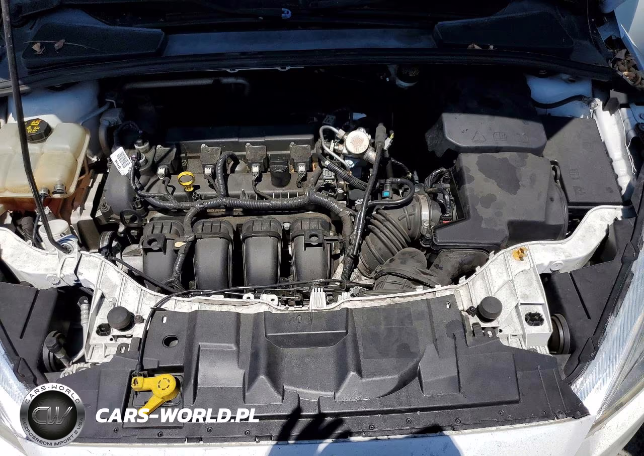 FORD FOCUS SE VIN:1FADP3F2XGL399201 - 11