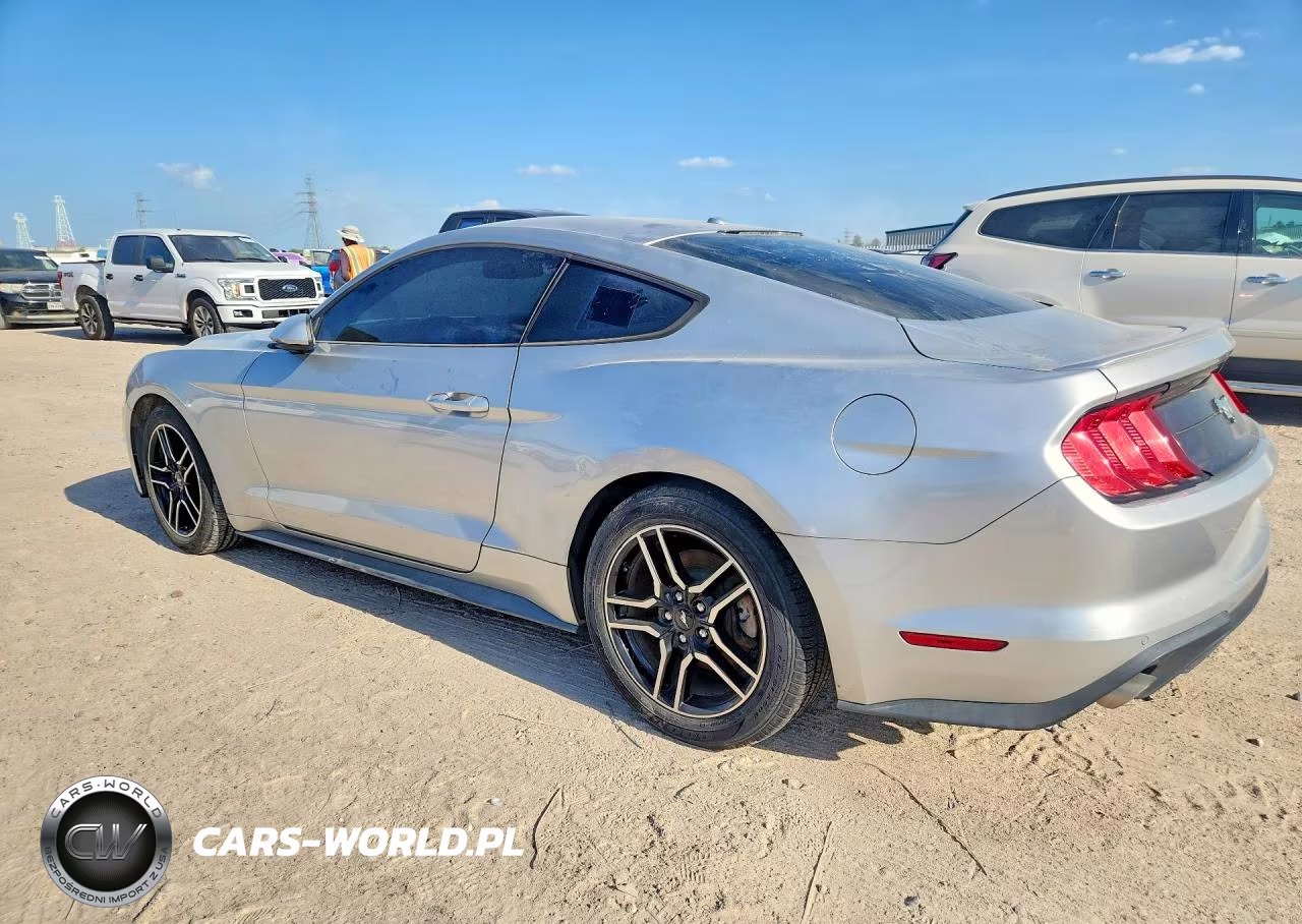 2019 Ford Mustang VIN:1FA6P8TH0K5122200 - 2