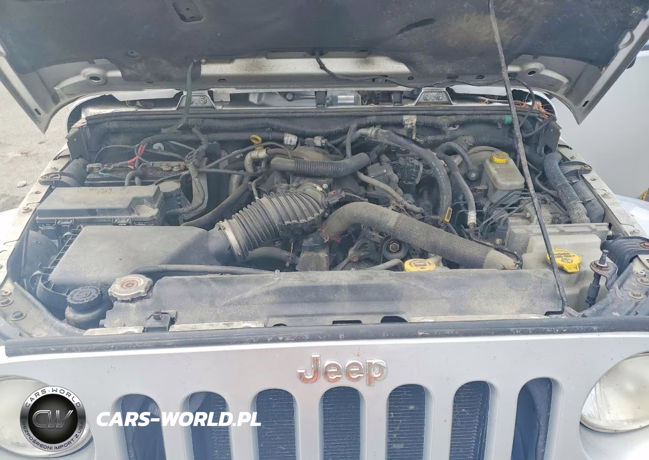 2009 Jeep Wrangler Unlimited Sahara VIN:1J4GA59169L772433 - 11