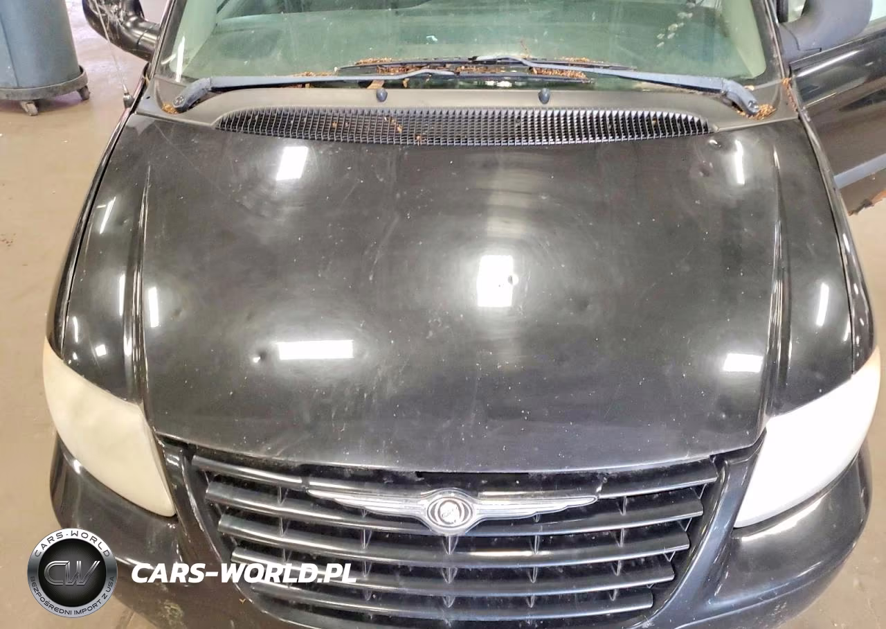 2006 Chrysler Town And Country Base VIN:1A4GP45R96B603884 - 12