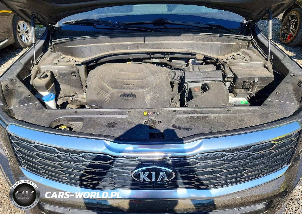 2020 Kia Telluride S VIN:5XYP6DHC3LG005551 - 12