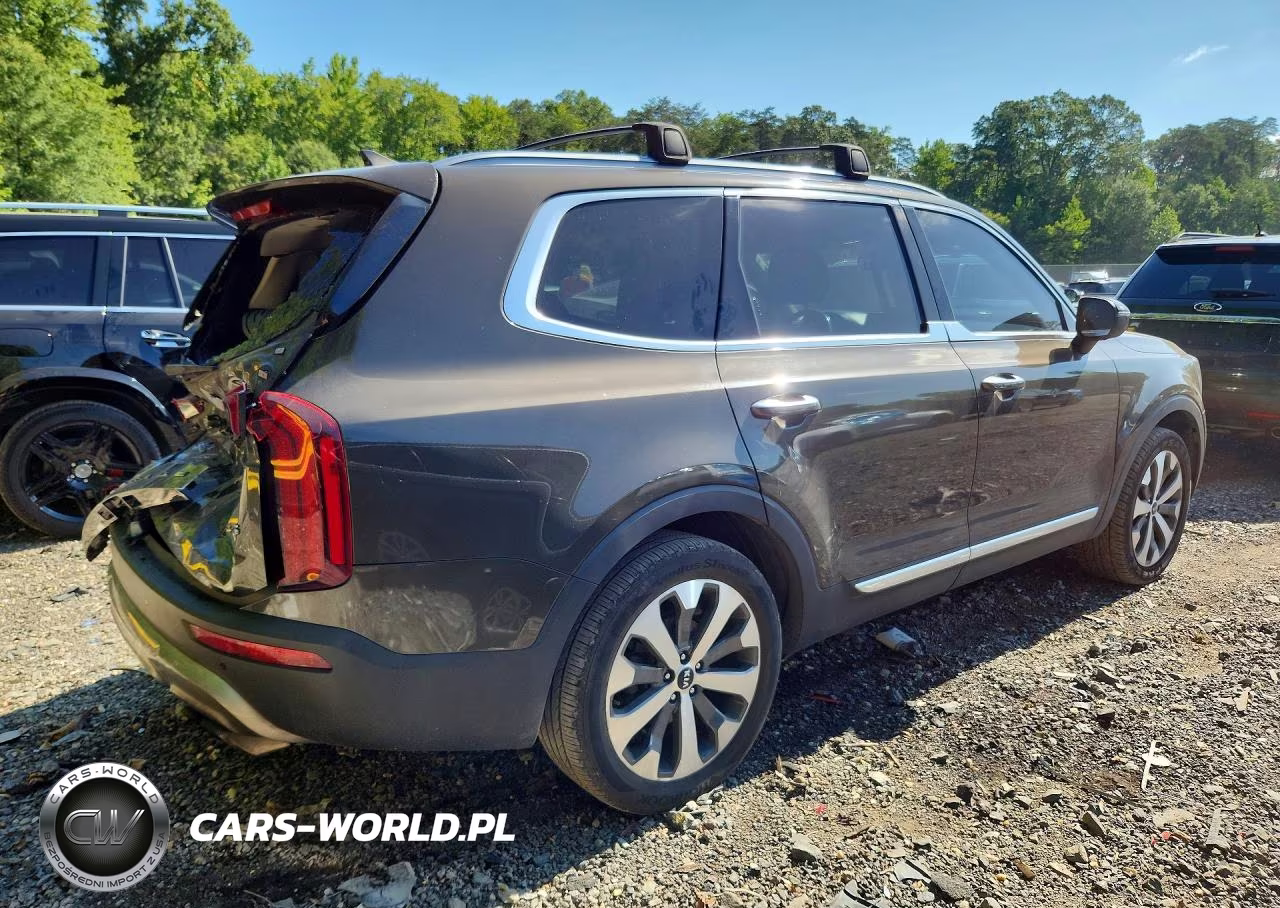 2020 Kia Telluride S VIN:5XYP6DHC3LG005551 - 3