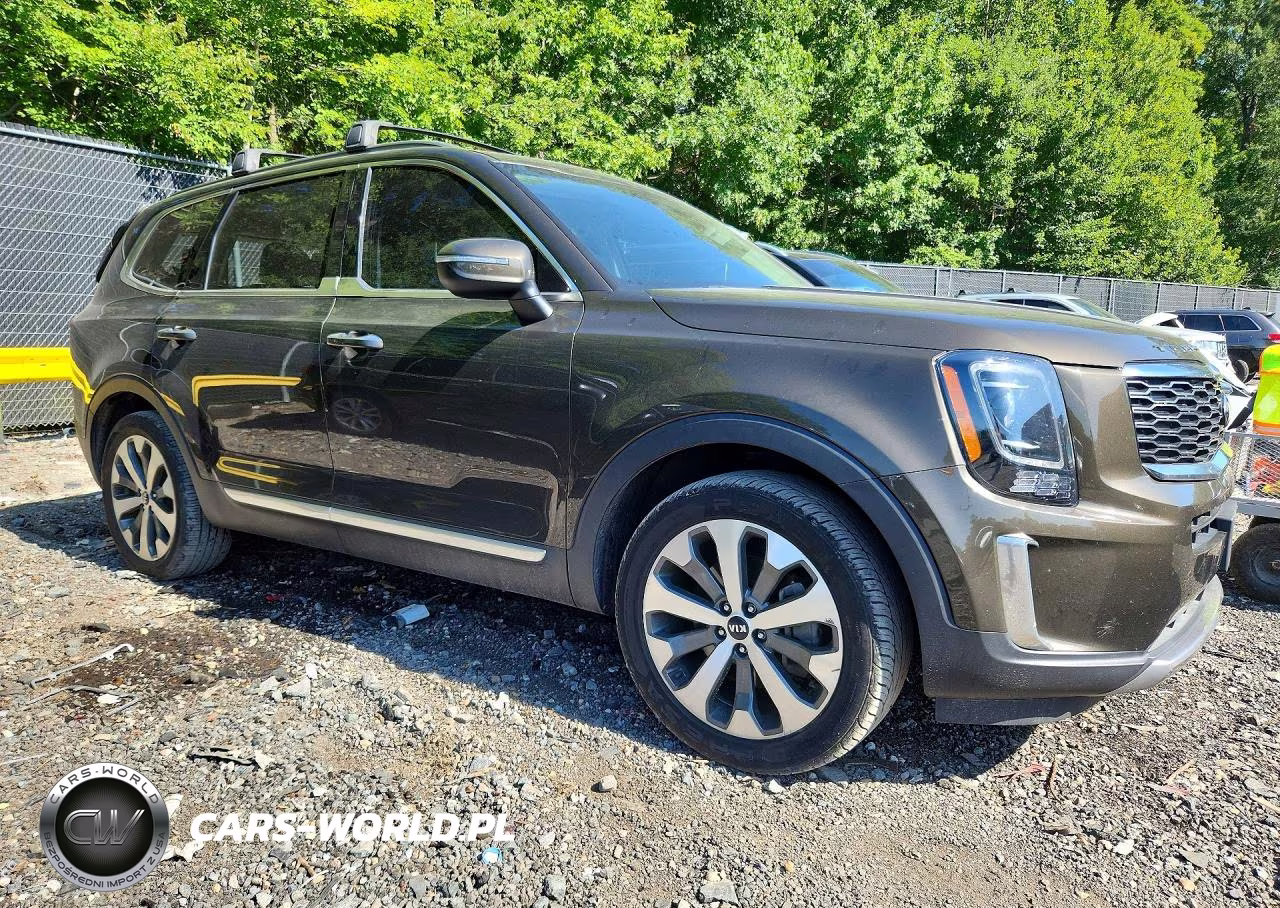 2020 Kia Telluride S VIN:5XYP6DHC3LG005551 - 4