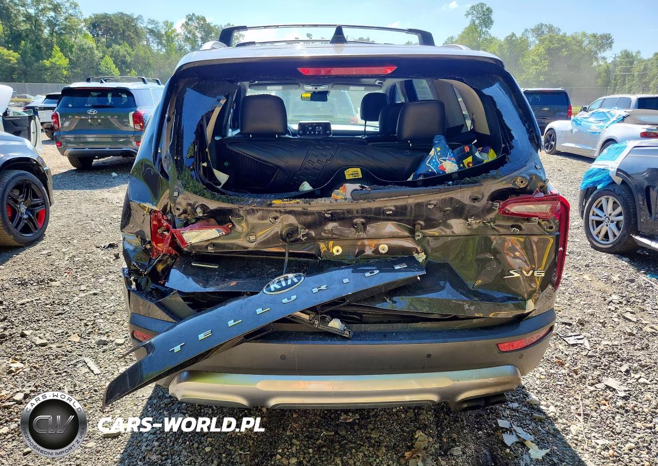 2020 Kia Telluride S VIN:5XYP6DHC3LG005551 - 6