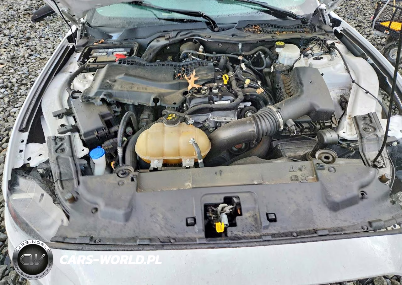 2021 Ford Mustang VIN:1FA6P8TH7M5113576 - 11