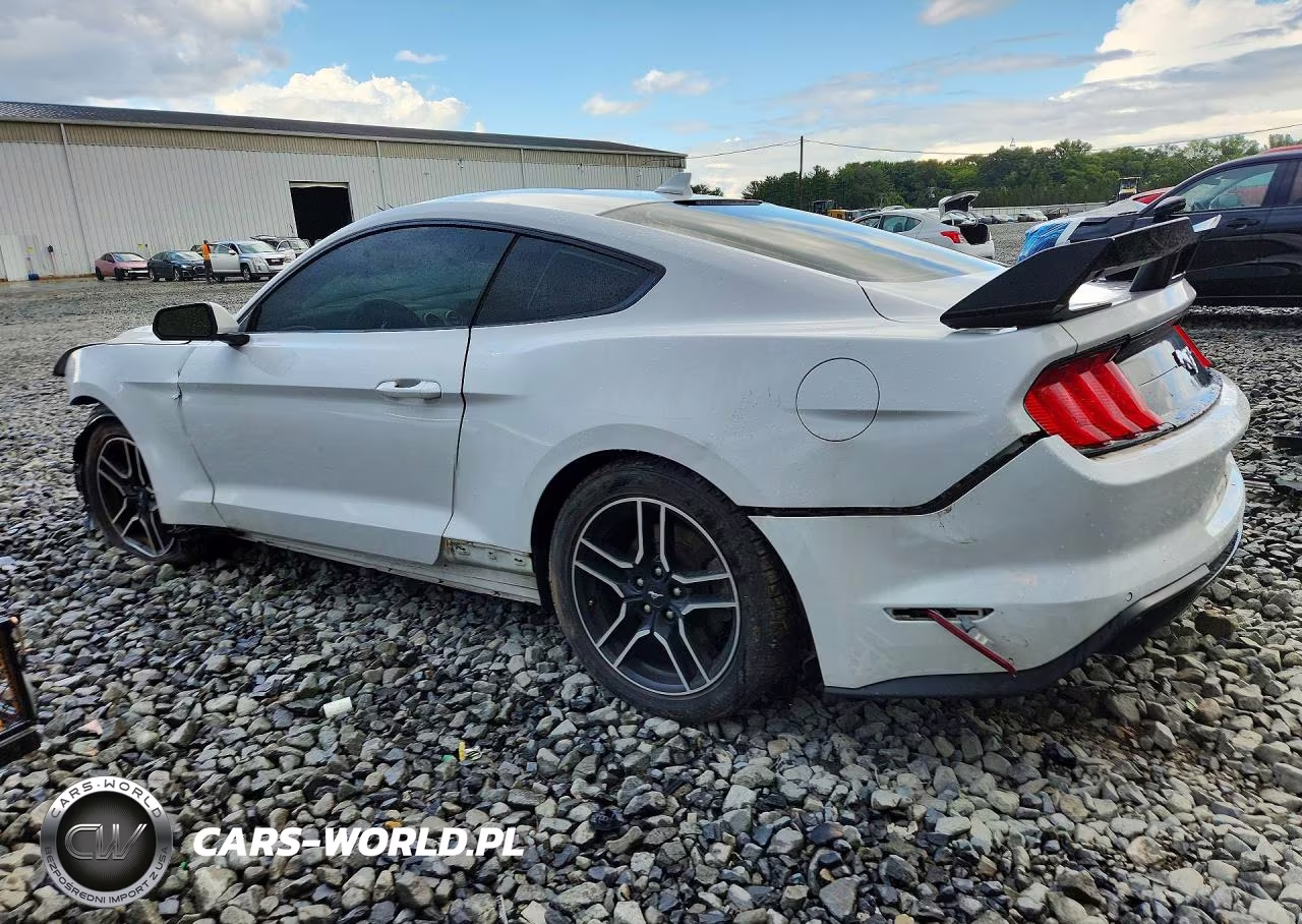 2021 Ford Mustang VIN:1FA6P8TH7M5113576 - 2