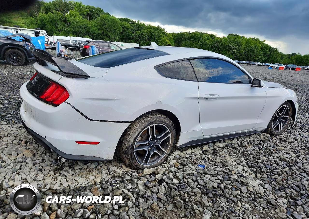 2021 Ford Mustang VIN:1FA6P8TH7M5113576 - 3